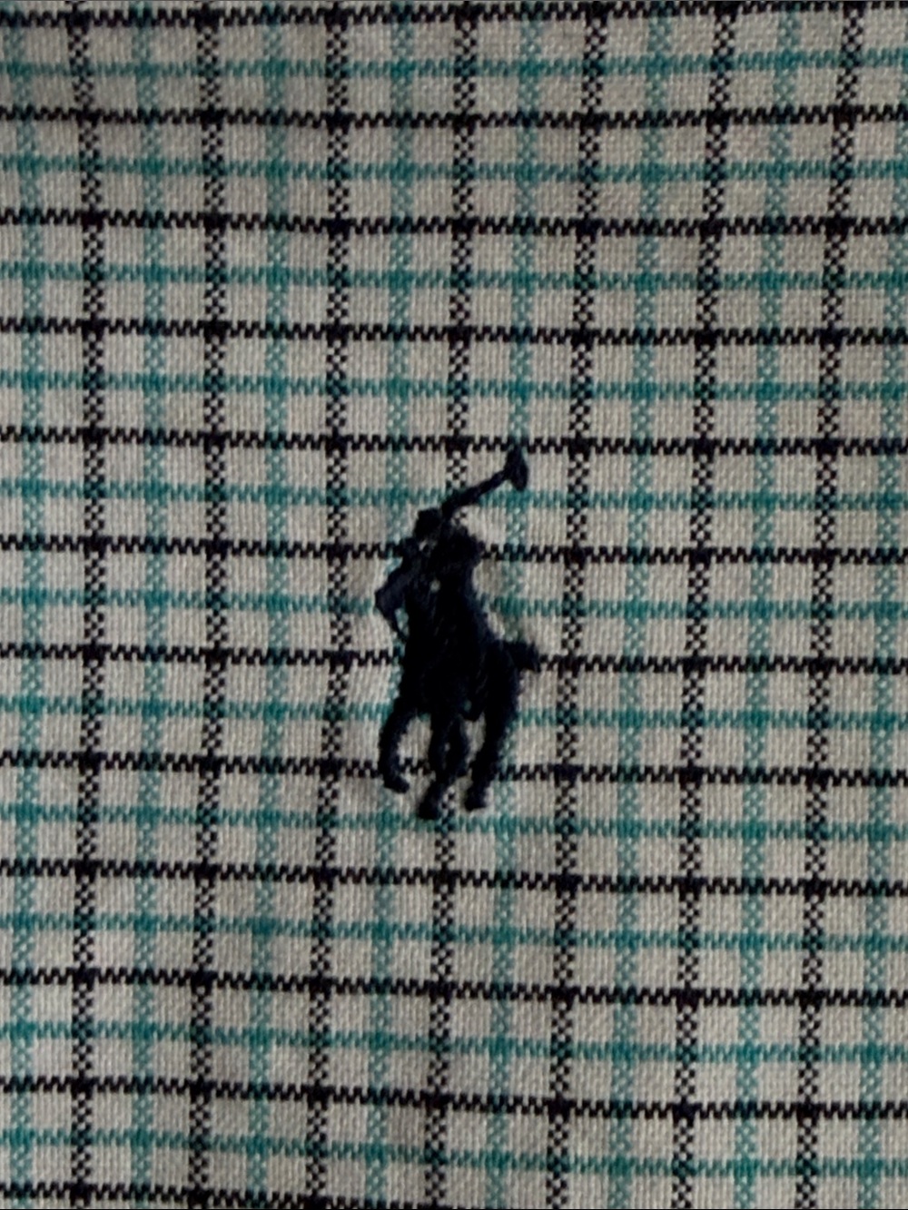 Ralph Lauren Light Blue and Navy Micro-Check Button-Down Shirt - Picture 13 of 14